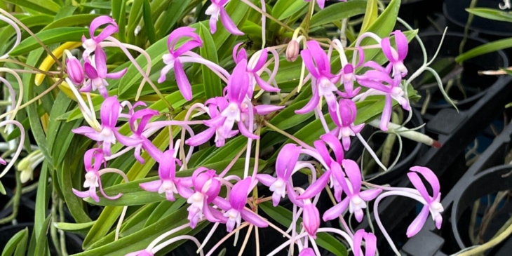 Fall Sale 2025 through October 15