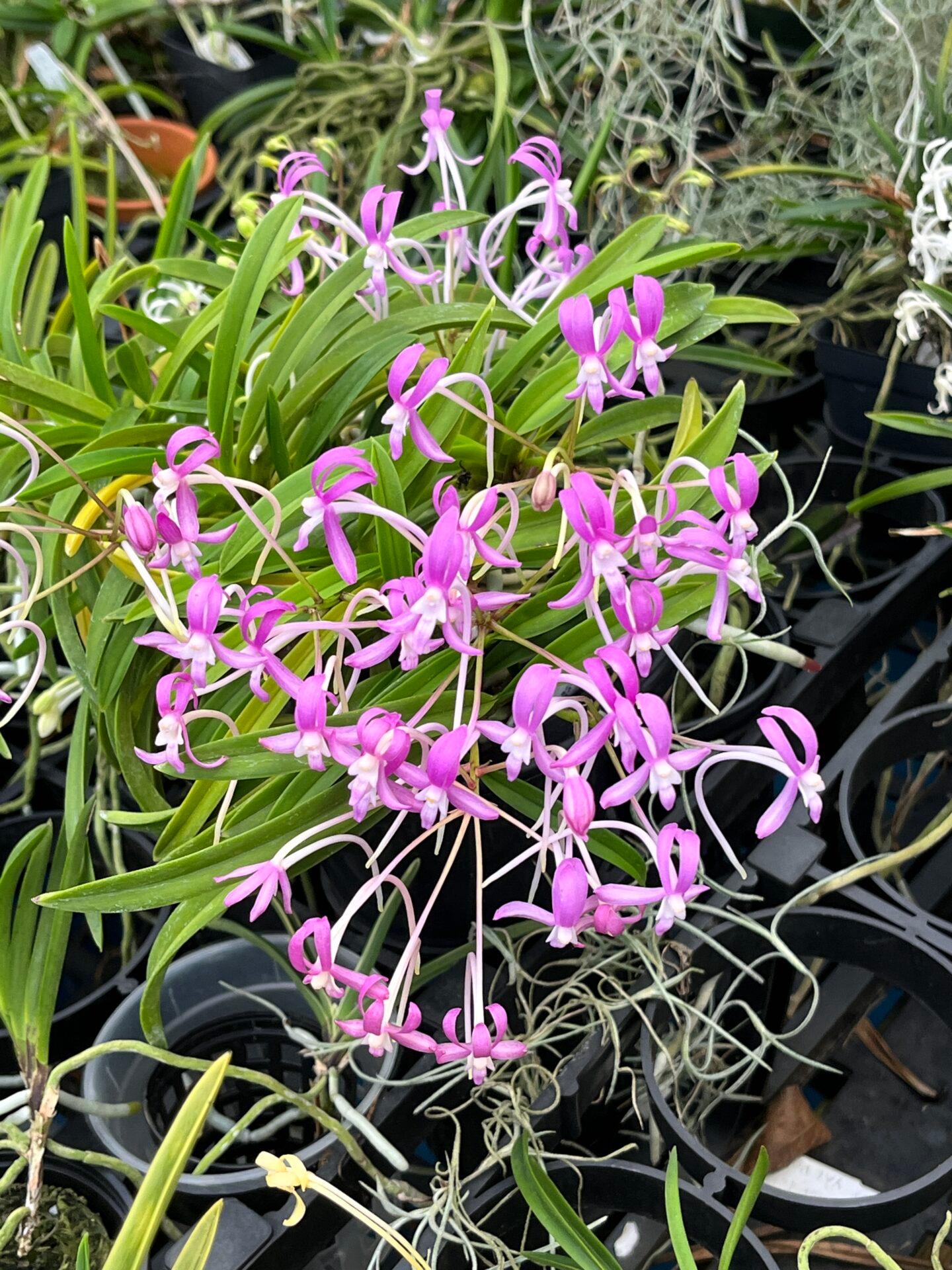 Fall Sale 2025 through October 15