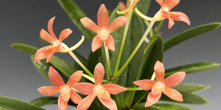 Hurry Up and Wait Sale